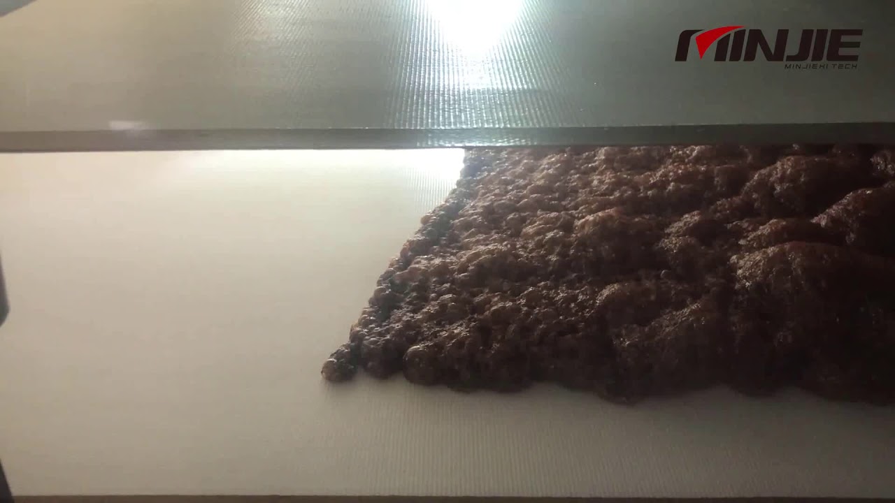 Herbal Extract Vacuum Band Dryer