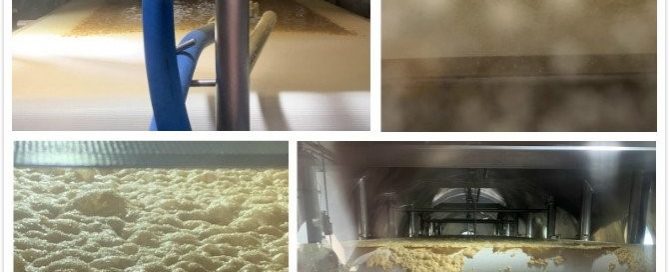 low temperature vacuum belt dryer