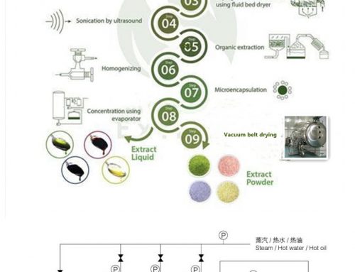 Health Food Extraction Powder Production Drying Technology