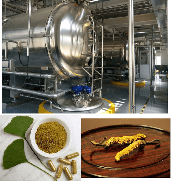Best Herbal Extract Plant Drying Machine 20years Leading Vacuum Dryer