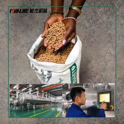 Vacuum Belt Dryer for Ecofeed Animal Feed