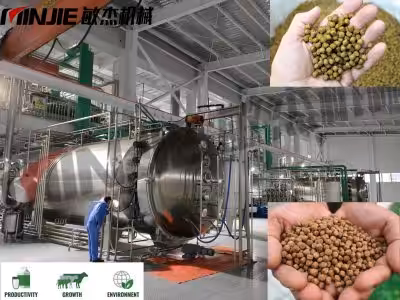 Vacuum Belt Dryer for Ecofeed Animal Feed Pallet