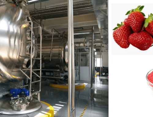 New Coming Low-temp Drying Tech for Strawberry Puree/Juice