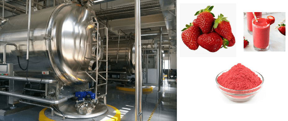 草莓干燥 1