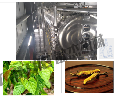 Herbal extract vacuum belt dryer1