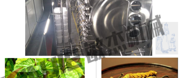 Herbal extract vacuum belt dryer1