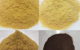 malt extract powder