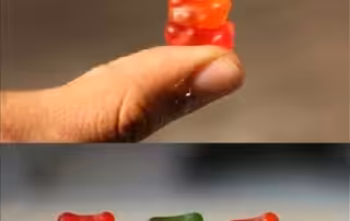 ediblegelatin