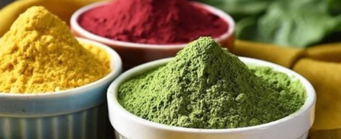 fruit juice powder drying equipment