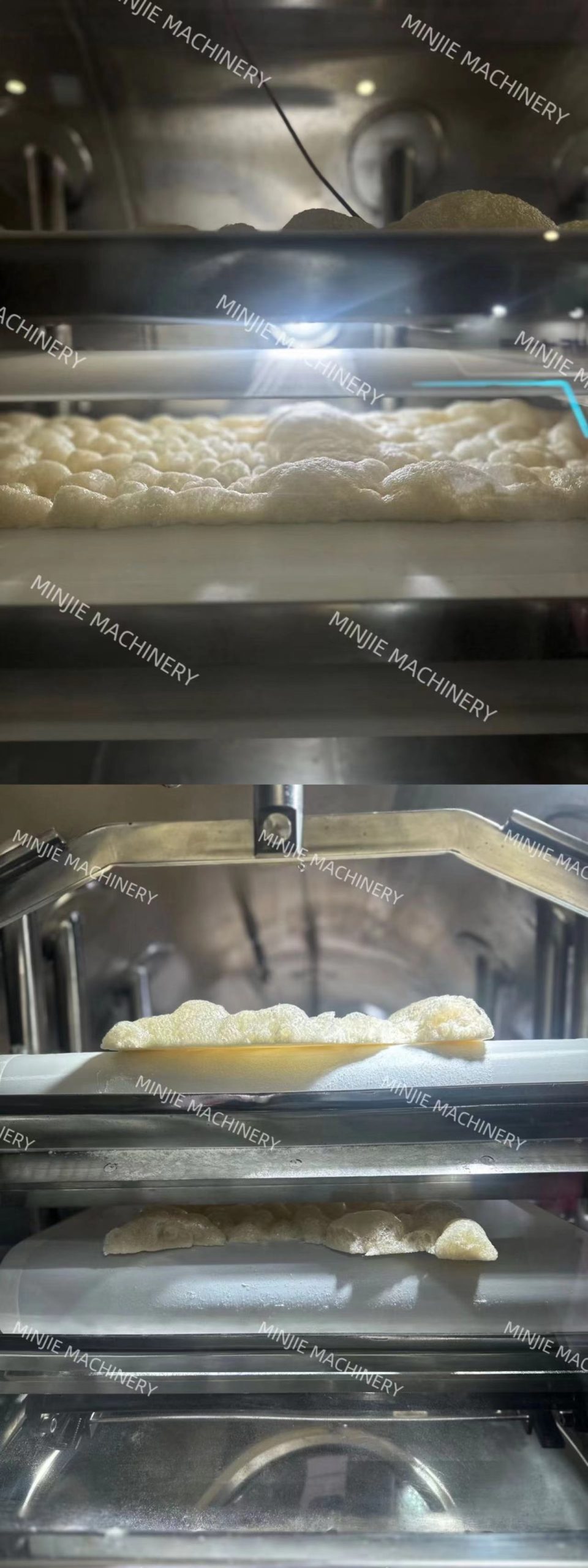 malt extract to be dried in vacuum belt dryer