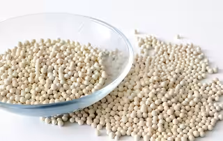 Granule Dryer