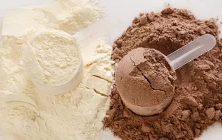 protein powder