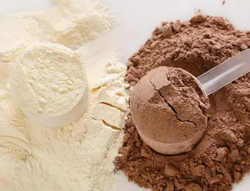 Vacuum Low-Temperature Drying: A Premium Solution for High-Activity Protein Powder Production