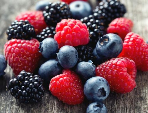 Vacuum Low‑Temperature Concentration and Drying Workflow for Anthocyanin‑Rich Fruit Juice