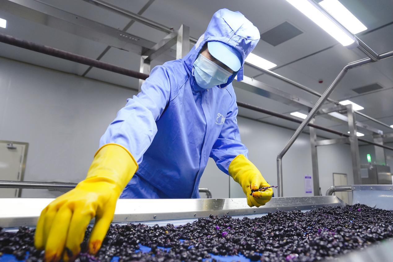 Black Wolfberry Pulp Produce
