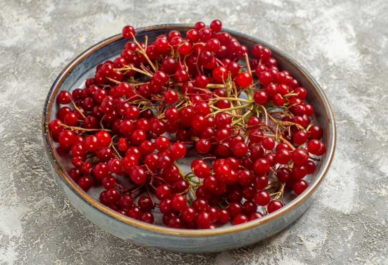 schisandra extract