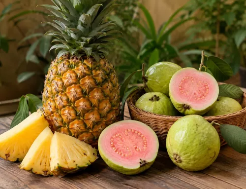 How a Vacuum Low-Temperature Evaporator Concentrates Juice Without Color and Flavor Loss