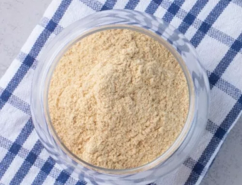 How to Dry Fermentation Broth with Vacuum Belt Dryer